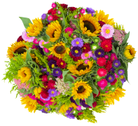 bouquet-di-fiori 44 lista
